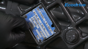 How to read a ZF plate